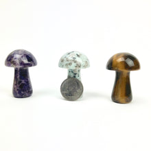 Load image into Gallery viewer, Magic Mushrooms | 50mm | Single
