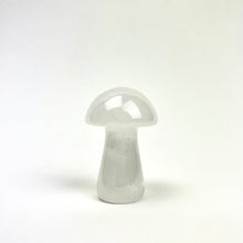 Load image into Gallery viewer, Magic Mushrooms | 50mm | Single
