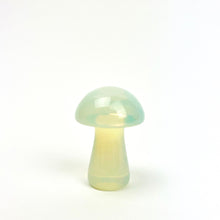 Load image into Gallery viewer, Magic Mushrooms | 50mm | Single
