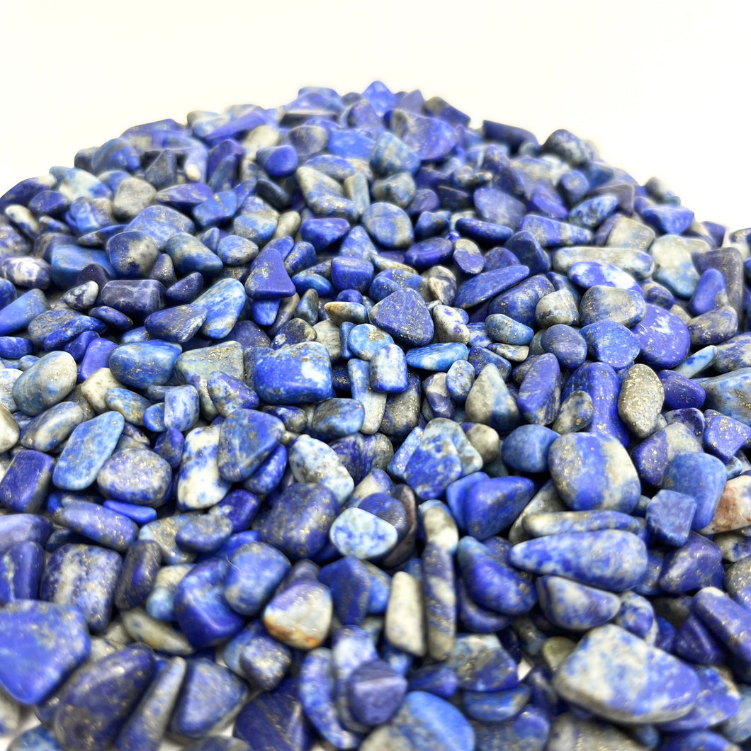 Lapis Lazuli | Tumbled Chips | 1lb | 4-7mm | India