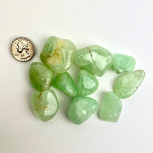 Load image into Gallery viewer, Prehnite | Tumbled | 25-40mm
