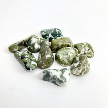 Load image into Gallery viewer, Camouflage Jasper | Tumbled | 20-30mm

