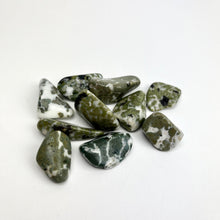 Load image into Gallery viewer, Camouflage Jasper | Tumbled | 20-30mm
