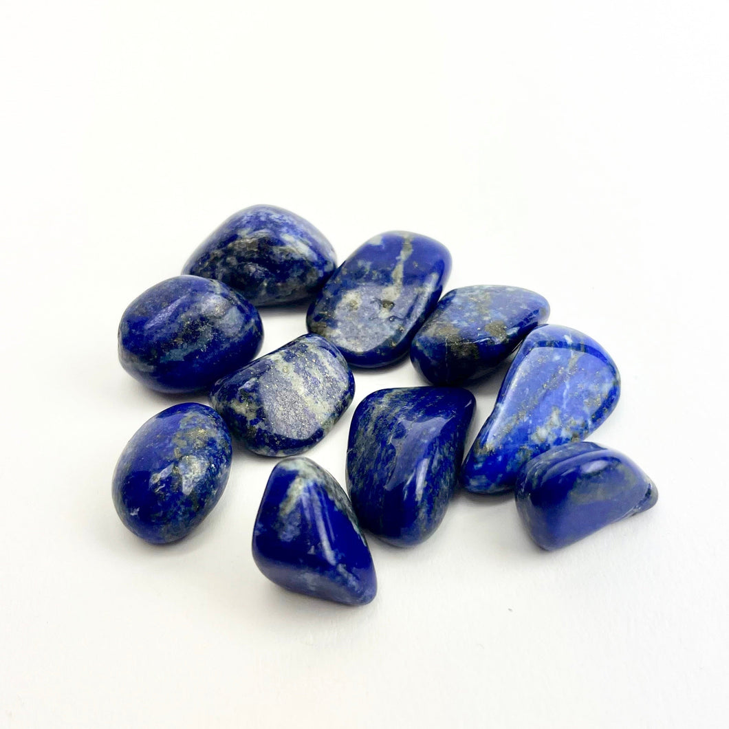 Lapis Lazuli | Tumbled | 15-30mm