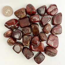 Load image into Gallery viewer, Brecciated Jasper | Tumbled | 20-30mm | India
