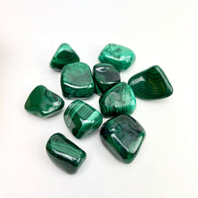 Load image into Gallery viewer, Malachite | Tumbled | 25-35mm | Africa
