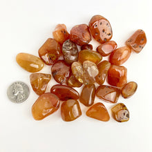 Load image into Gallery viewer, Carnelian &quot;Natural&quot; | Tumbled | 15-25mm | 25 Piece Pack

