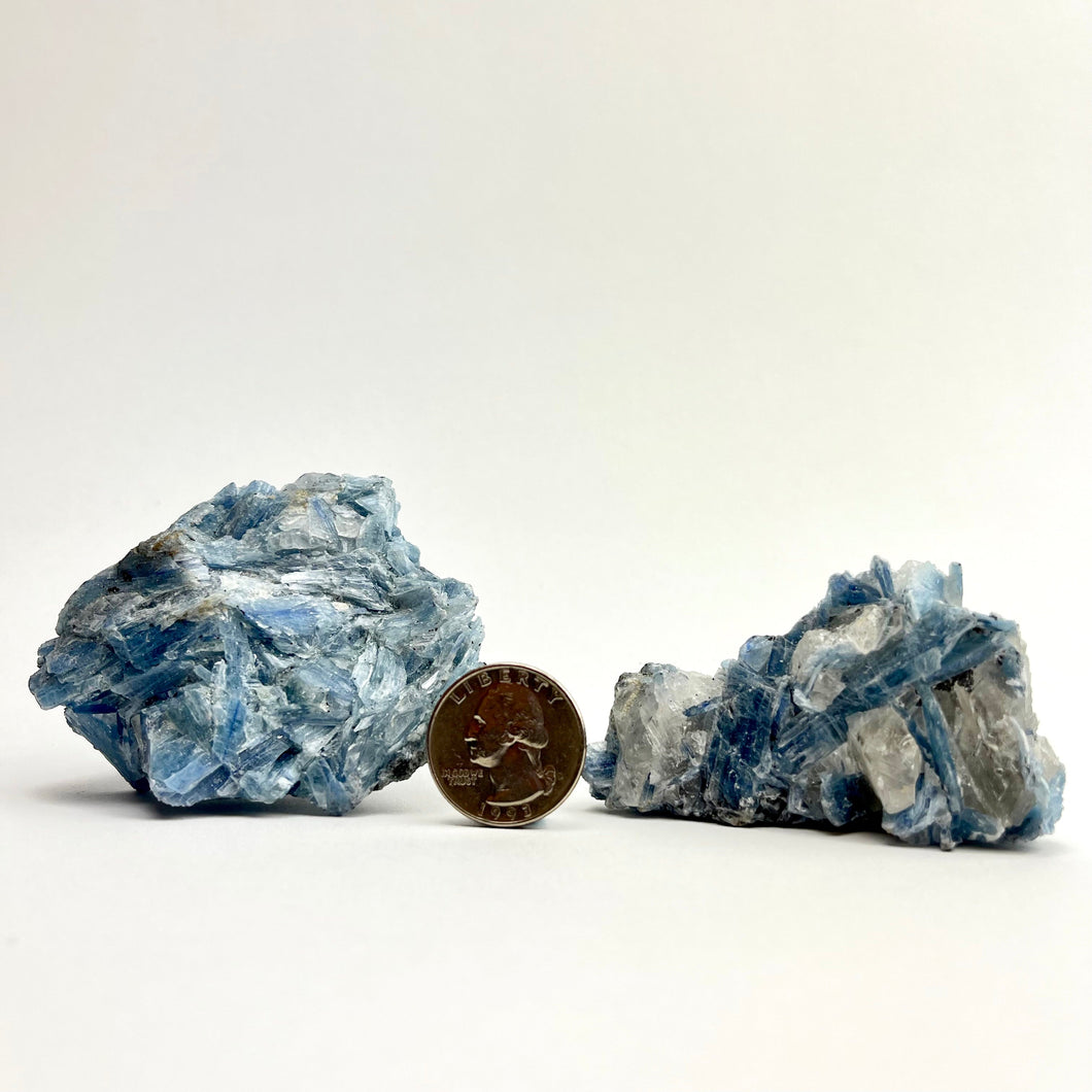 Paraiba Blue Kyanite Cluster | Brazil | Choose a Size!