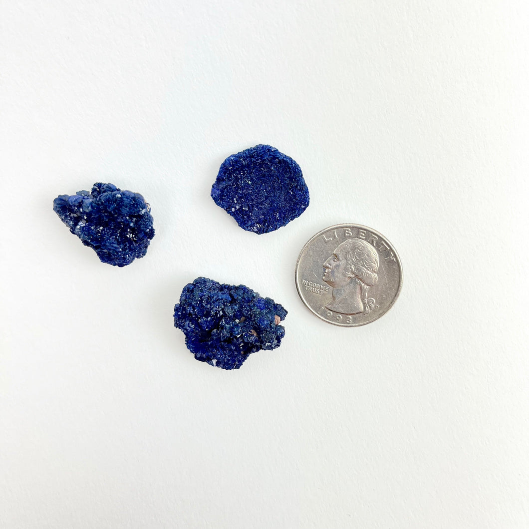 Azurite | Blueberries | Raw | Morocco