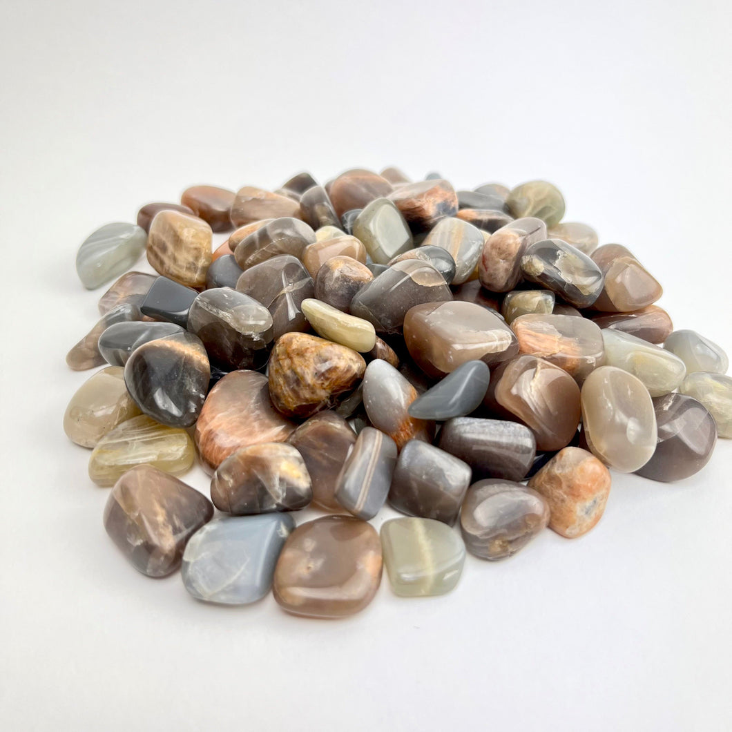 *Black Moonstone | Tumbled | 15-25mm | India | 1lb