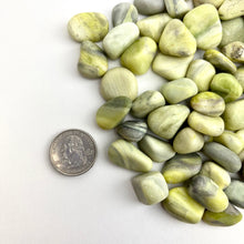 Load image into Gallery viewer, Infinite Serpentine | Tumbled |15-20mm | 1 lb | India
