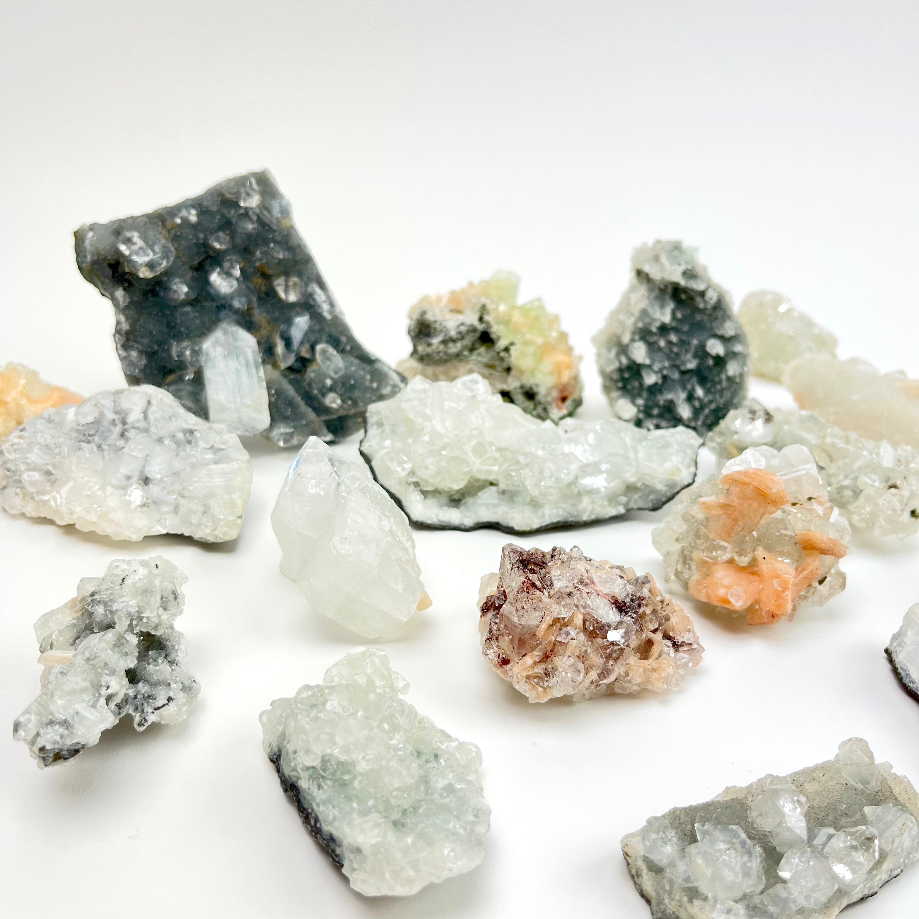 Apophyllite Assorted Clusters India Pelham Grayson Rose