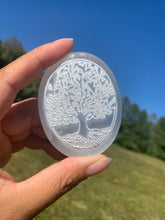 Load image into Gallery viewer, *Tree of Life Selenite Palmstone | Morocco

