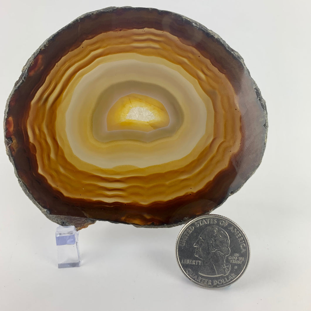 Agate Slice | 70-100mm | Brazil