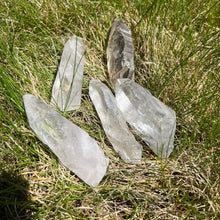 Load image into Gallery viewer, Lemurian Seed Quartz | Rough Point | Brazil
