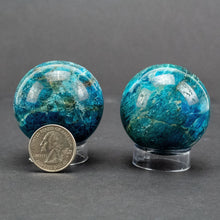 Load image into Gallery viewer, Apatite Sphere | 45-55mm | Madagascar
