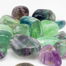 Load image into Gallery viewer, Fluorite | Tumbled | 1/2 LB Lot | 20-35mm
