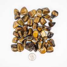 Load image into Gallery viewer, Tiger Eye | Tumbled | KILO Lot | 20-35mm | Africa
