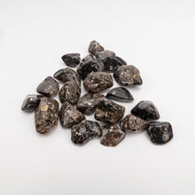 Load image into Gallery viewer, Turritella Agate tumbled mexico lg. sz 1 kilo bag (2.2 lb.)
